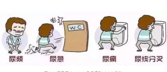 滄州男性的前列炎哪看好？保養(yǎng)前列腺的方法(圖1)