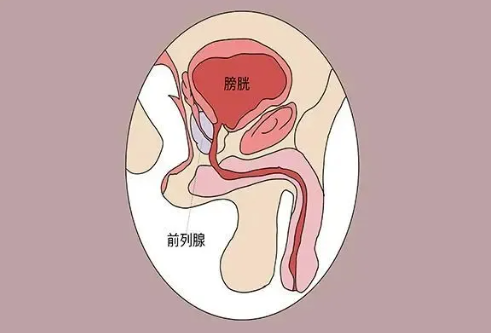 注意！縱欲和禁欲，最受傷的還是男人的這個(gè)器官！(圖1)
